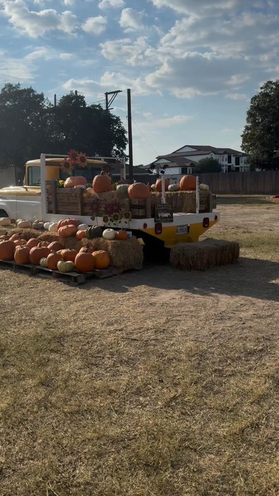 Universal City Pumpkin Patch - Pumpkin Patches Near Me - Universal City, Texas