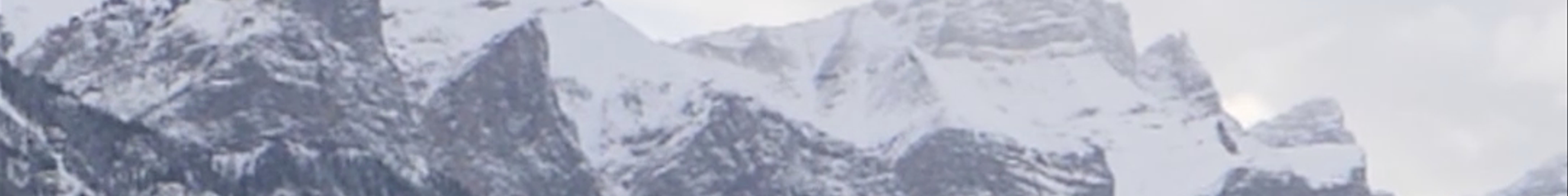 Tours & experiences in Canmore
