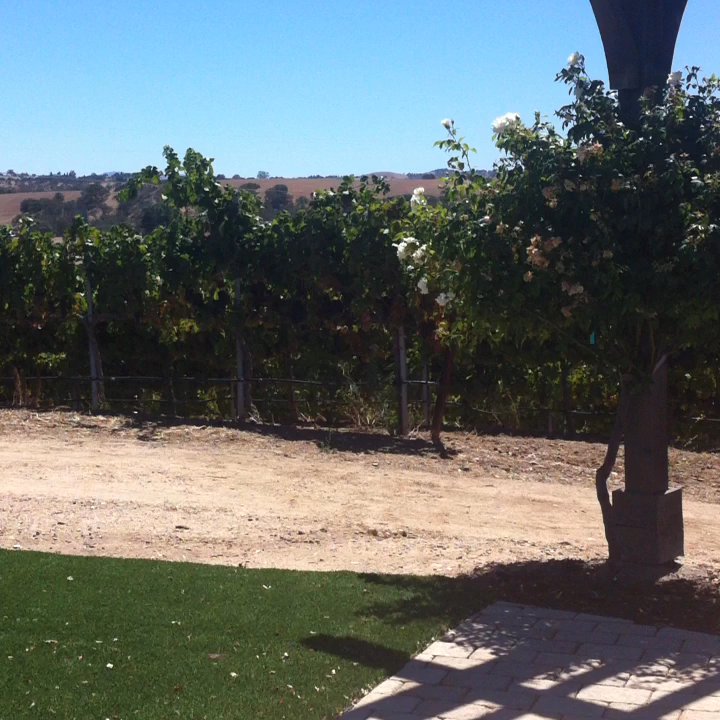 Pear Valley - Wedding - Wineries Near Me - Paso Robles, California