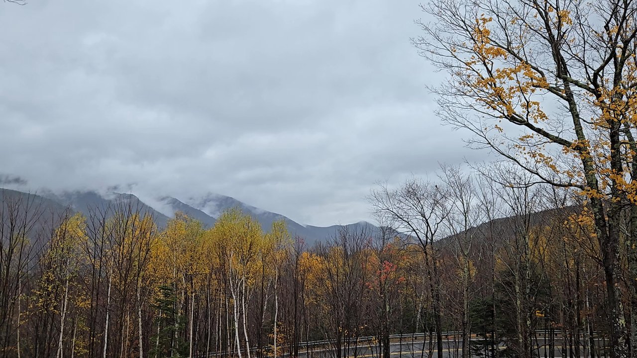 Bald Mountain/artists Bluff - Hiking Near Me - Franconia, New Hampshire