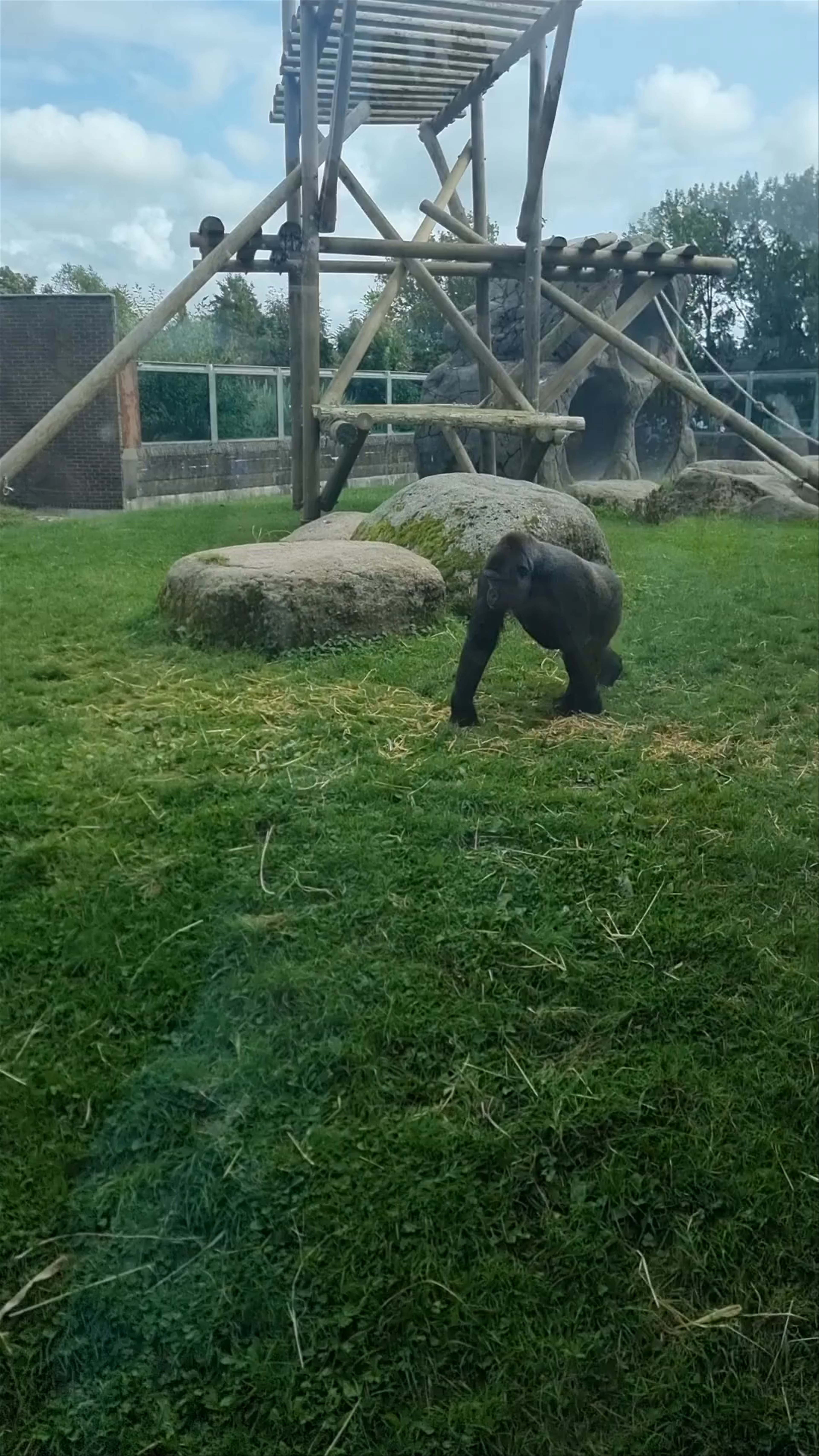 Blackpool Zoo