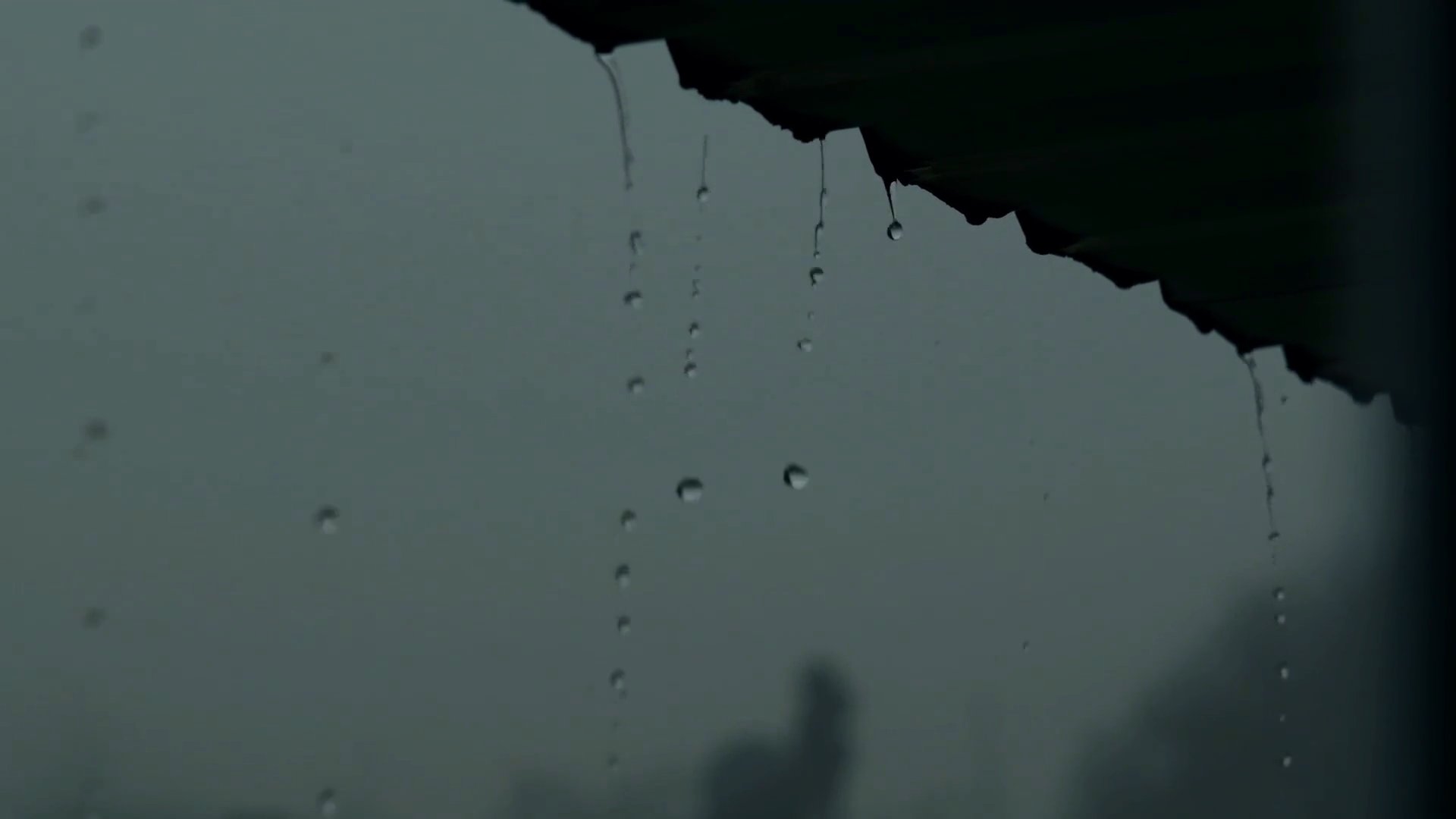 Eaves Drip