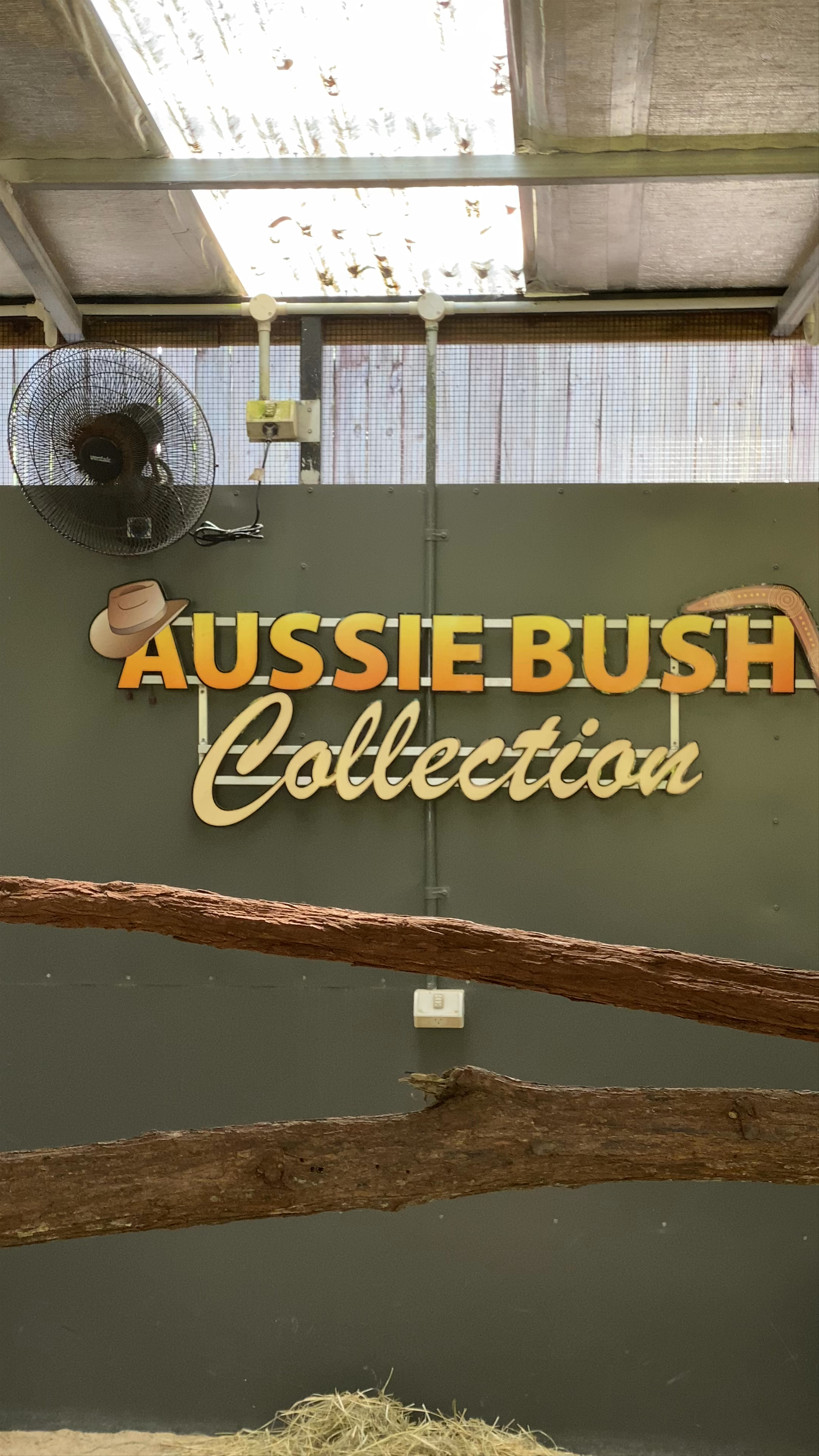 Kuranda Koala Gardens