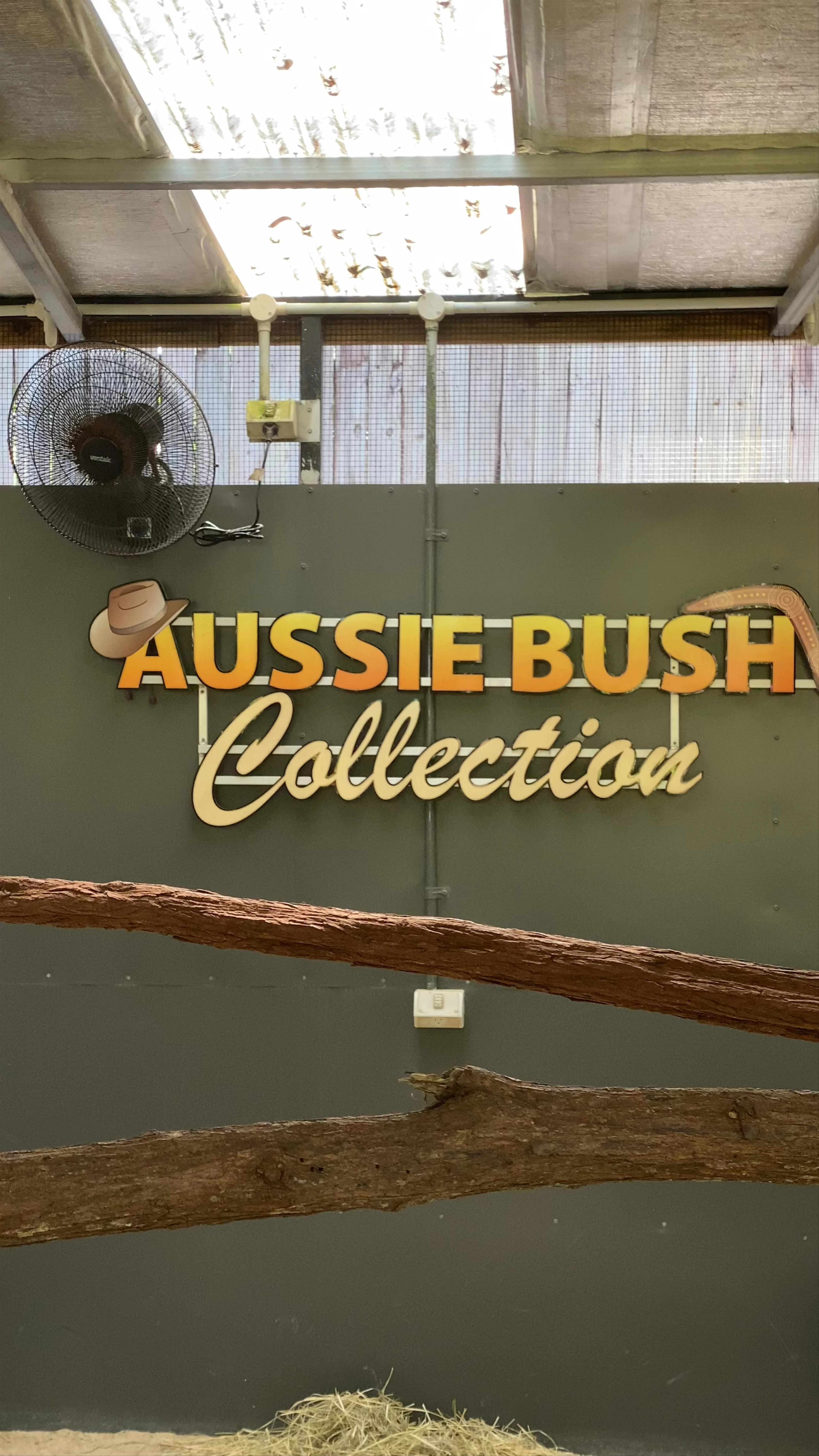 Kuranda Koala Gardens