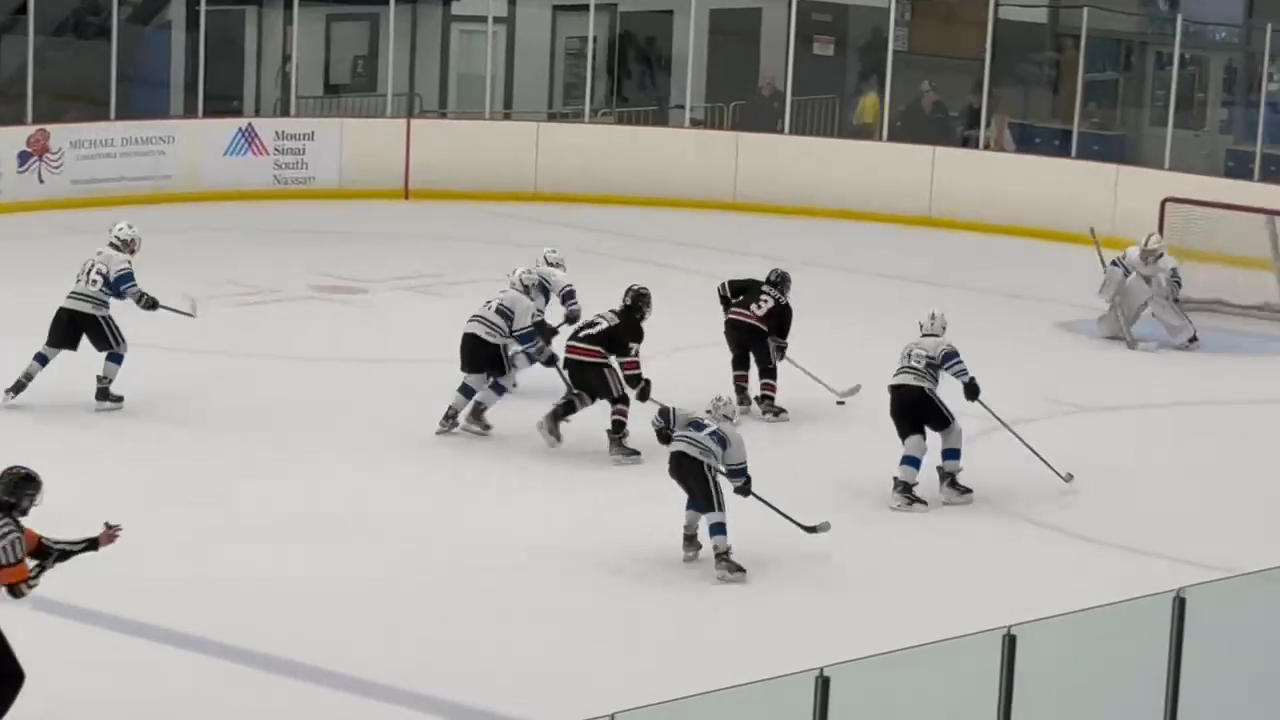 Goal - Long Island Kings 14U A