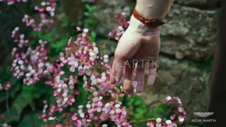 Aston Martin - © Artlist