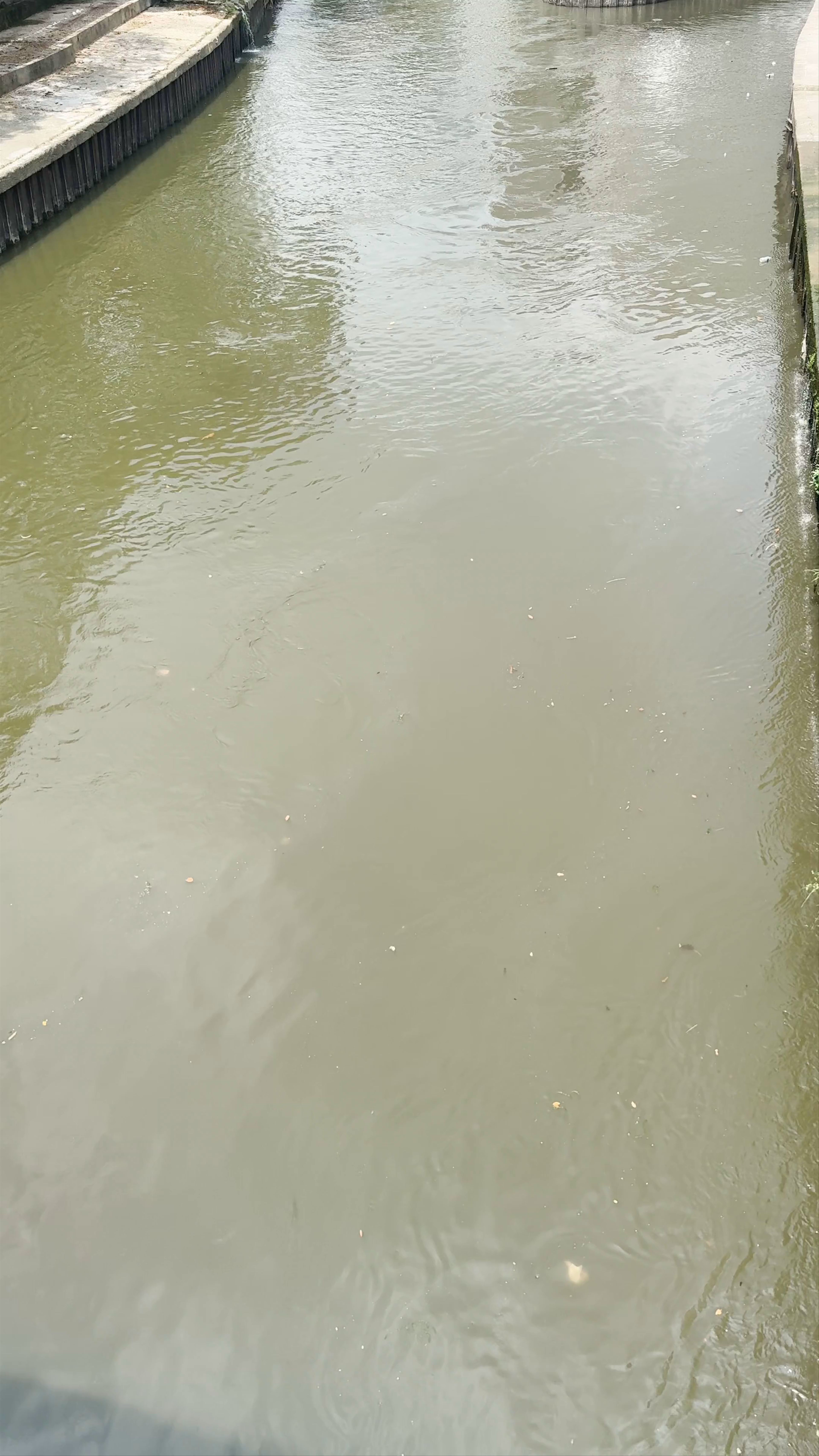 Serene Urban Oasis: Sungai Nadi Kehidupan in Kuala Lumpur