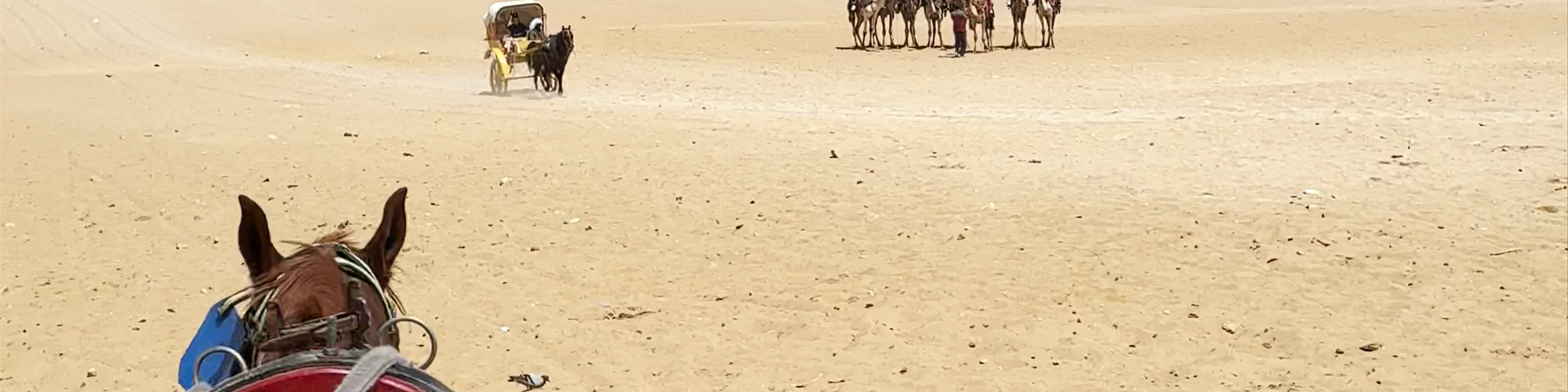 Egypt