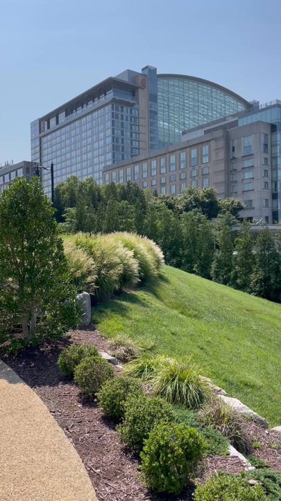 Starbucks - Take your drink and walk up 1 block to the Gaylord Hotel - you'll be treated to this pano view of the water (and giant ferris wheel) - Coffee & Tea Near Me - Oxon Hill, Maryland