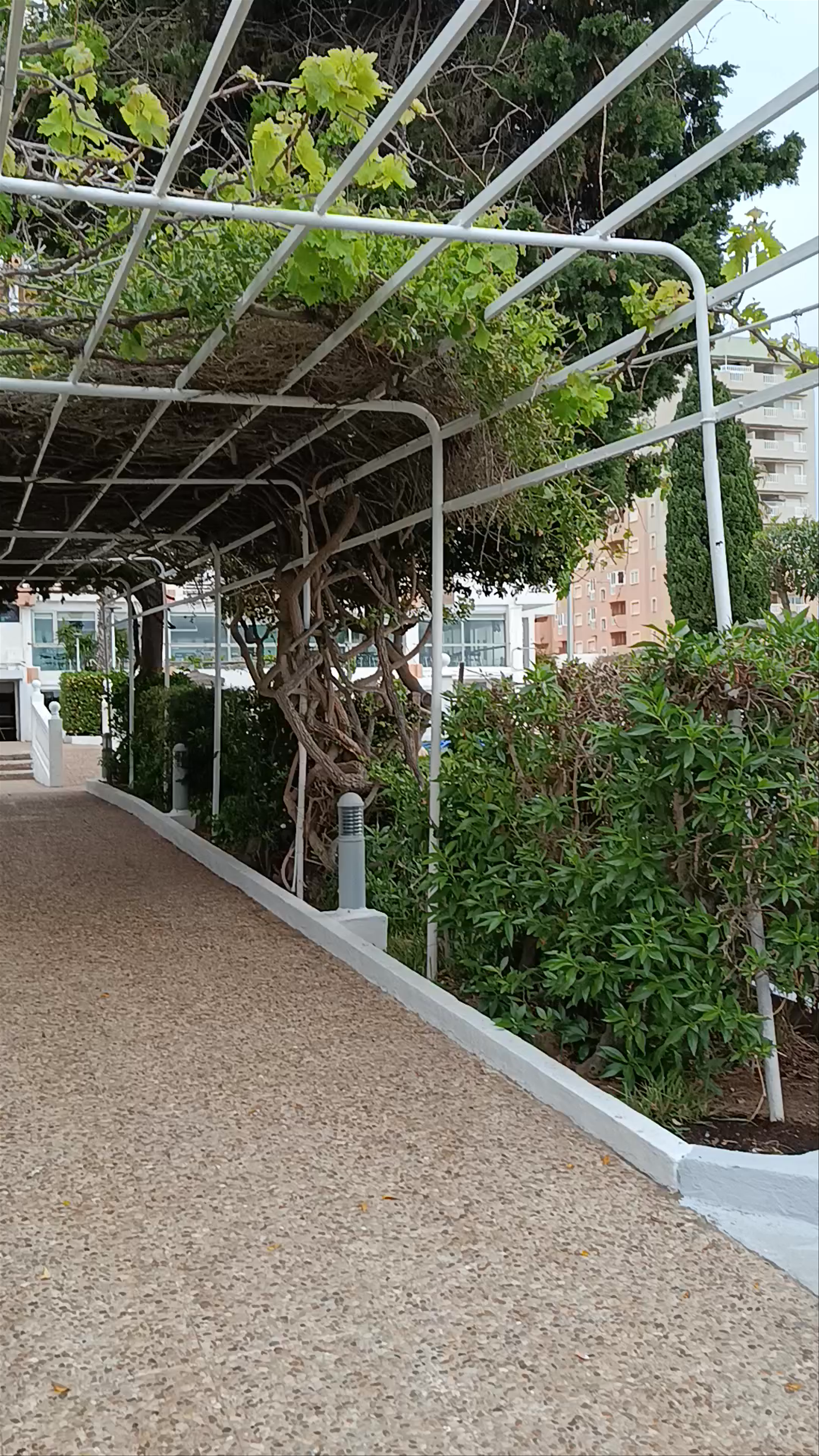 Hotel Izán Cavanna
