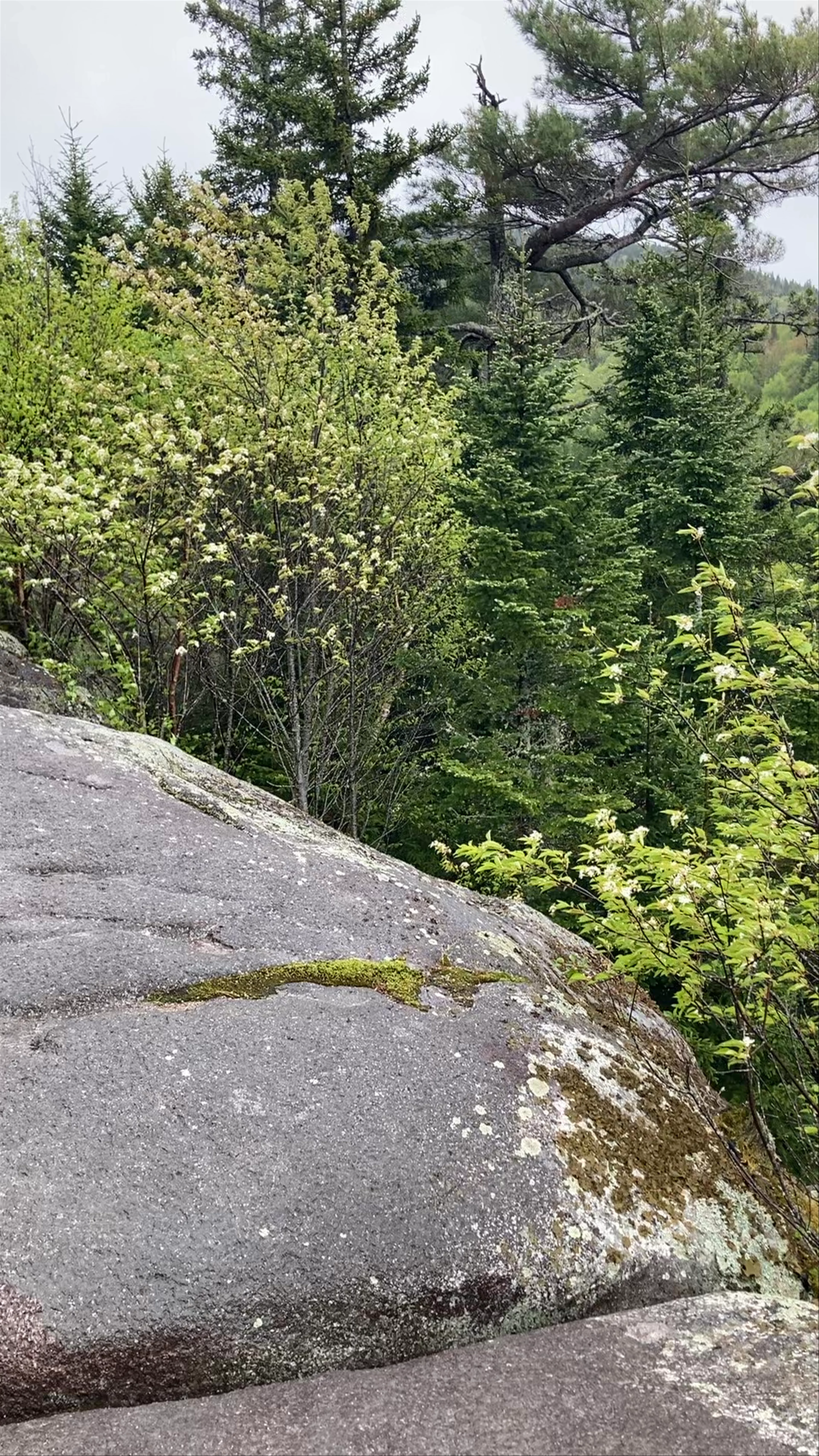 Mont-Tremblant