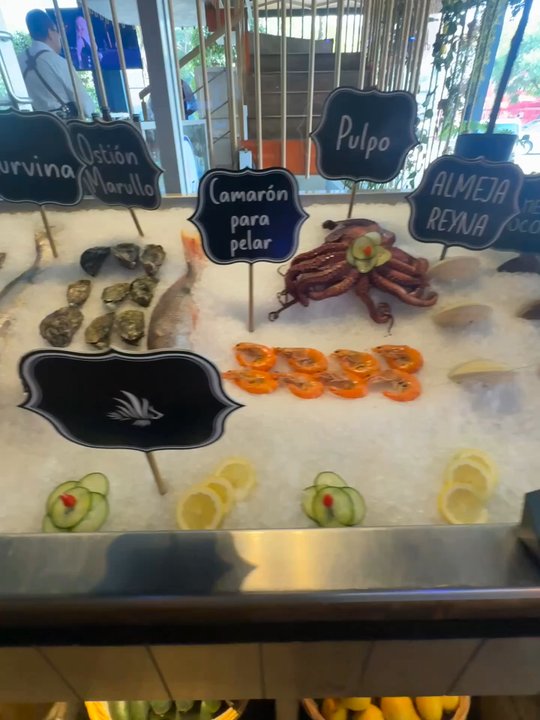 Lion Fish - Bars Near Me - Tijuana, BCN