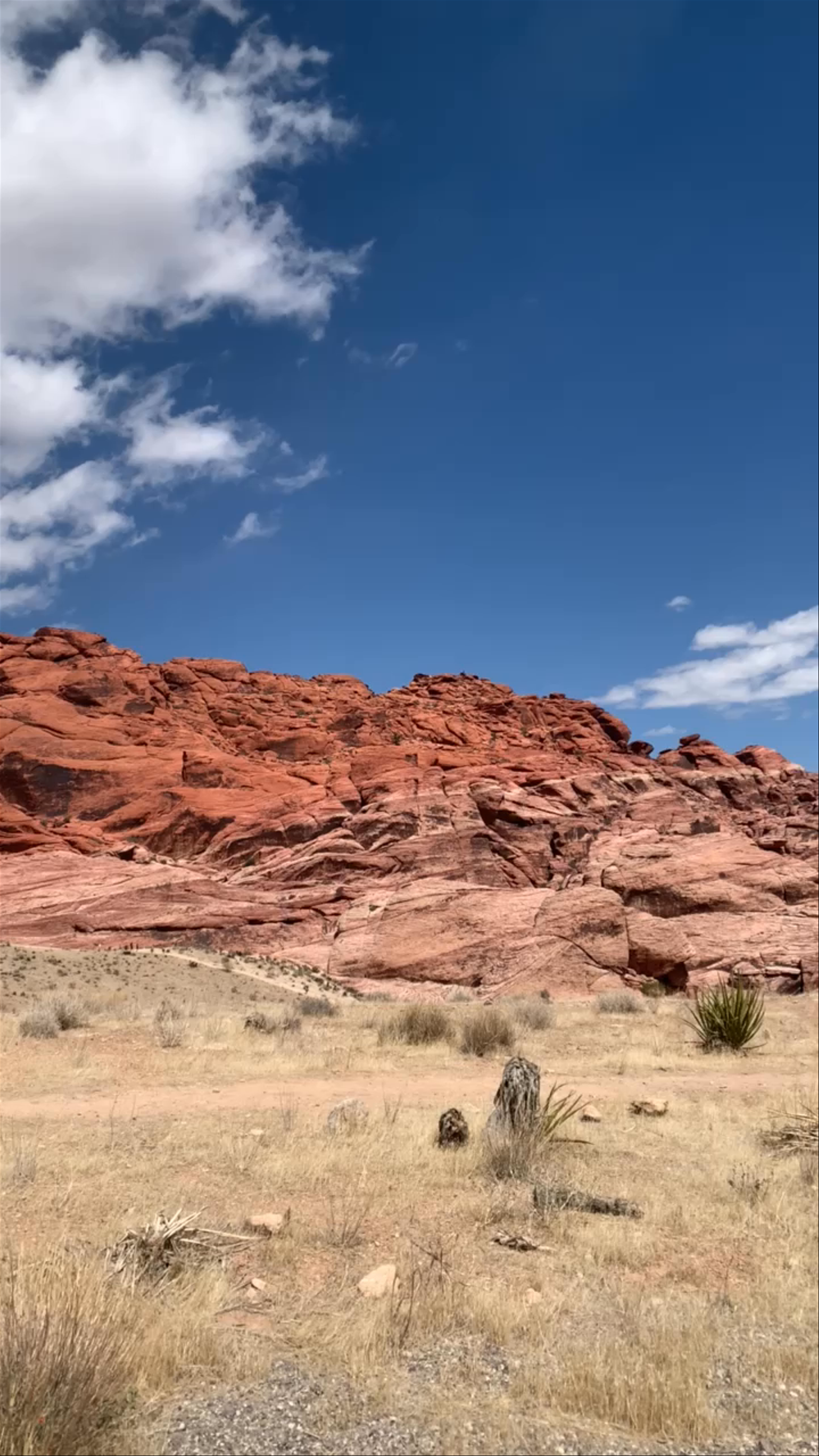 Red Rock Canyon National Conservation Area