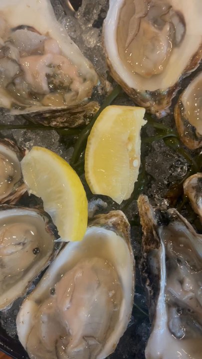 Chaplin - Oysters were so fresh!! - Seafood Near Me - Shelton, Connecticut