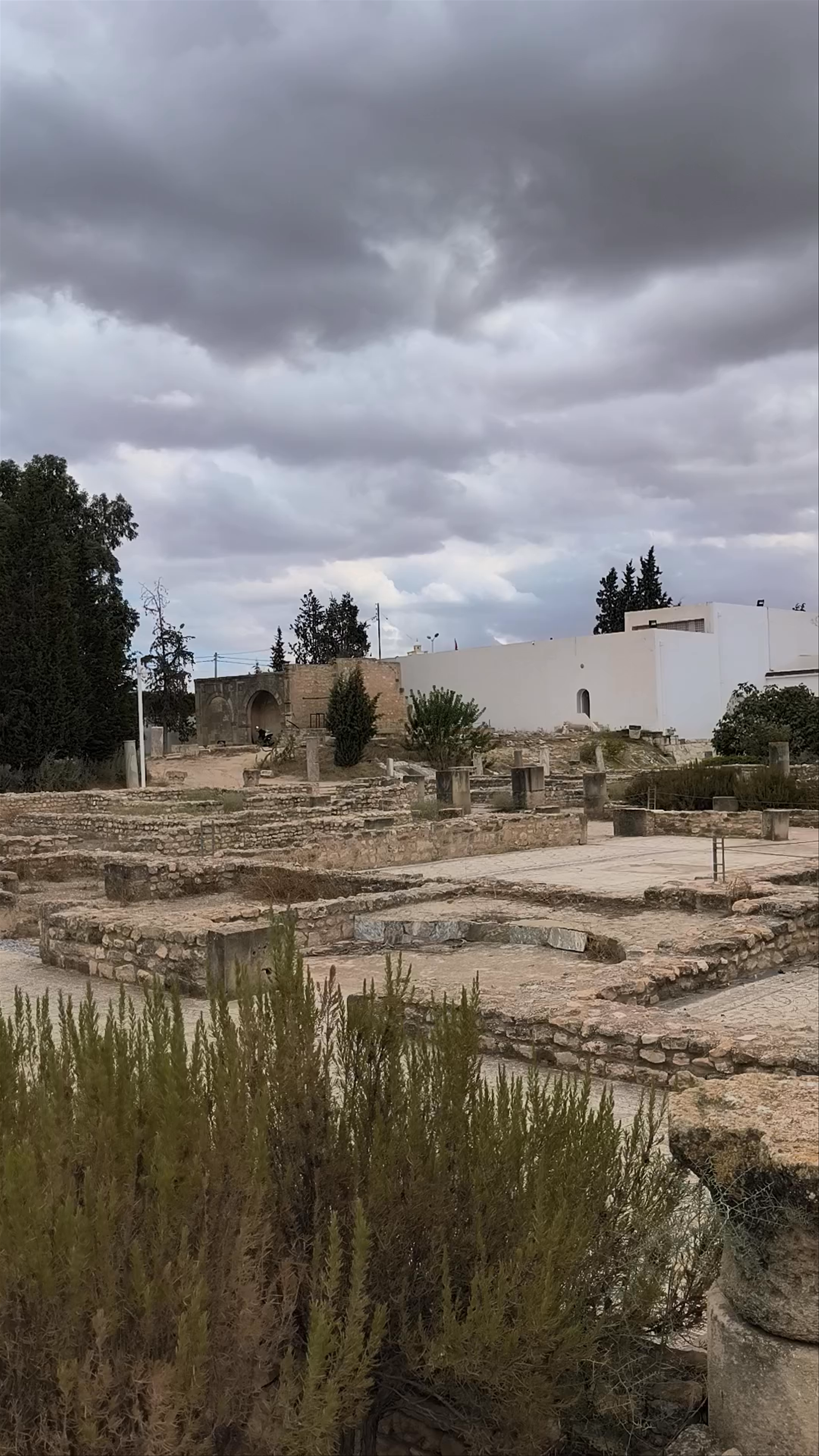 Thysdrus Archaeological Park