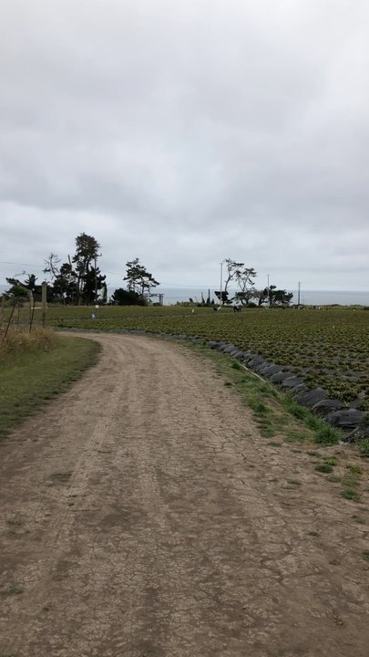 Coastways Ranch - Fruits & Veggies Near Me - Pescadero, California