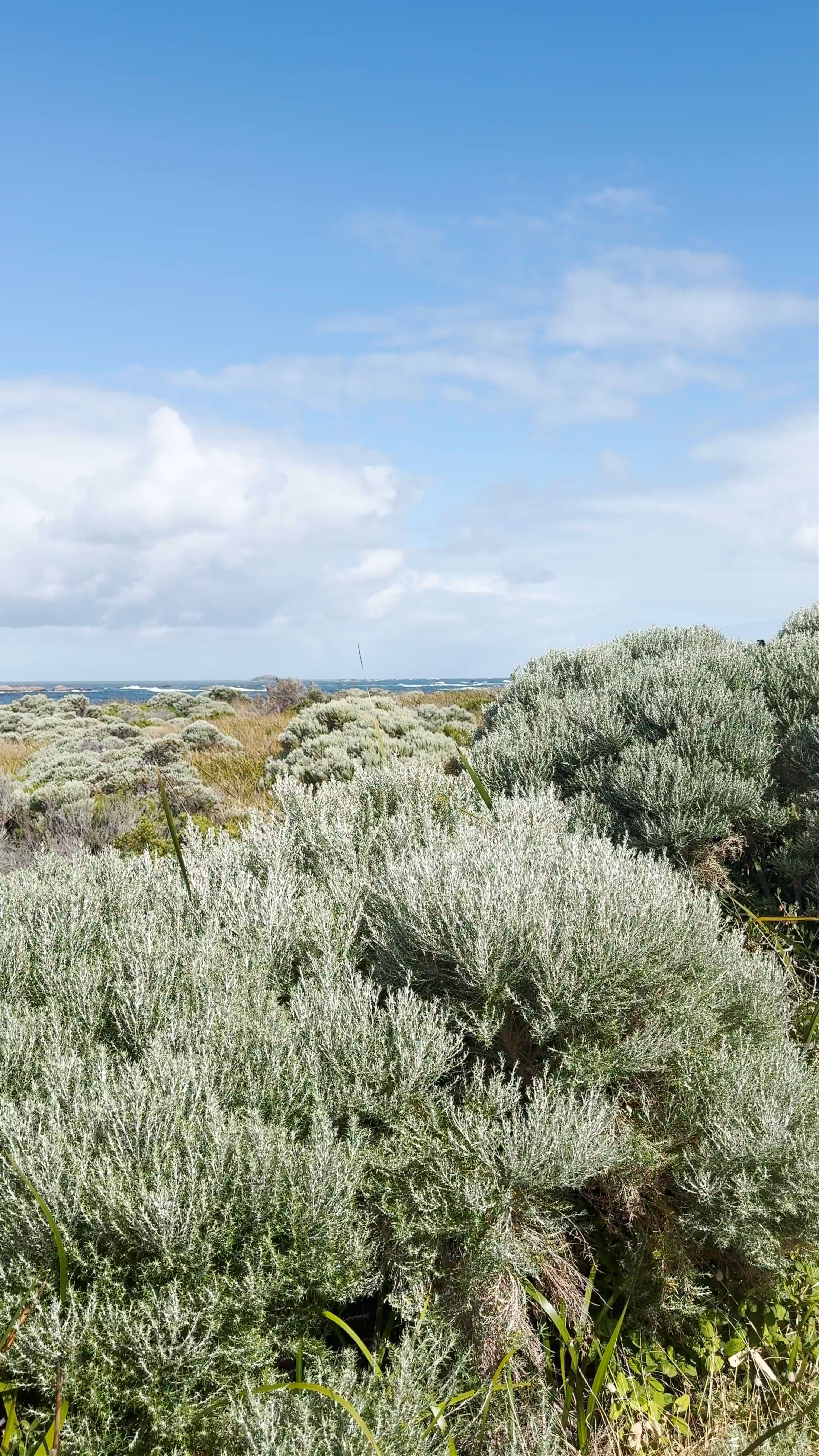 Cape Leeuwin Lighthouse