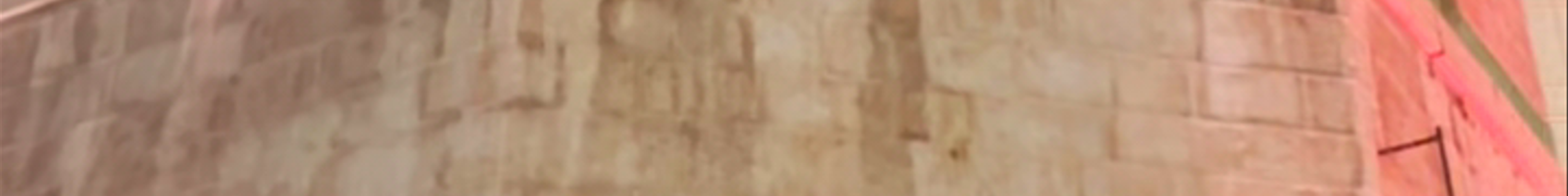 Tours & experiences in Castelló de la Plana