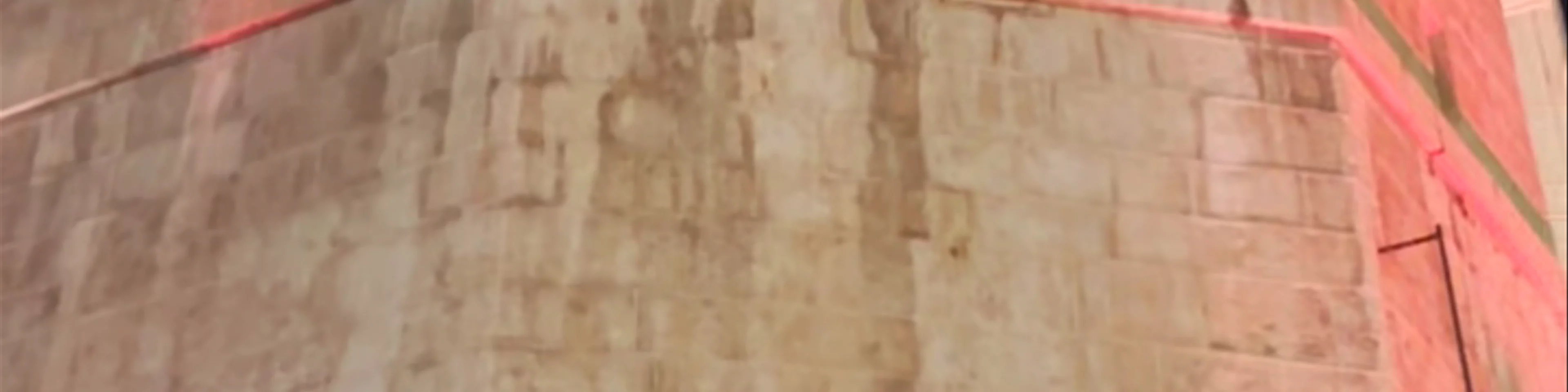 El Fadrí
