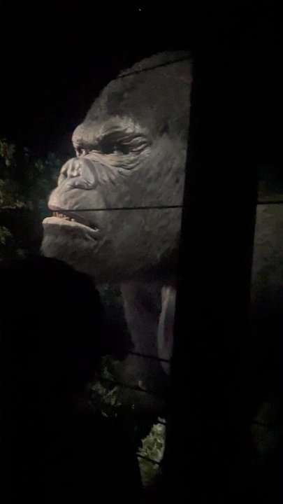 Jurassic Park - Kong ride - Amusement Parks Near Me - Orlando, Florida