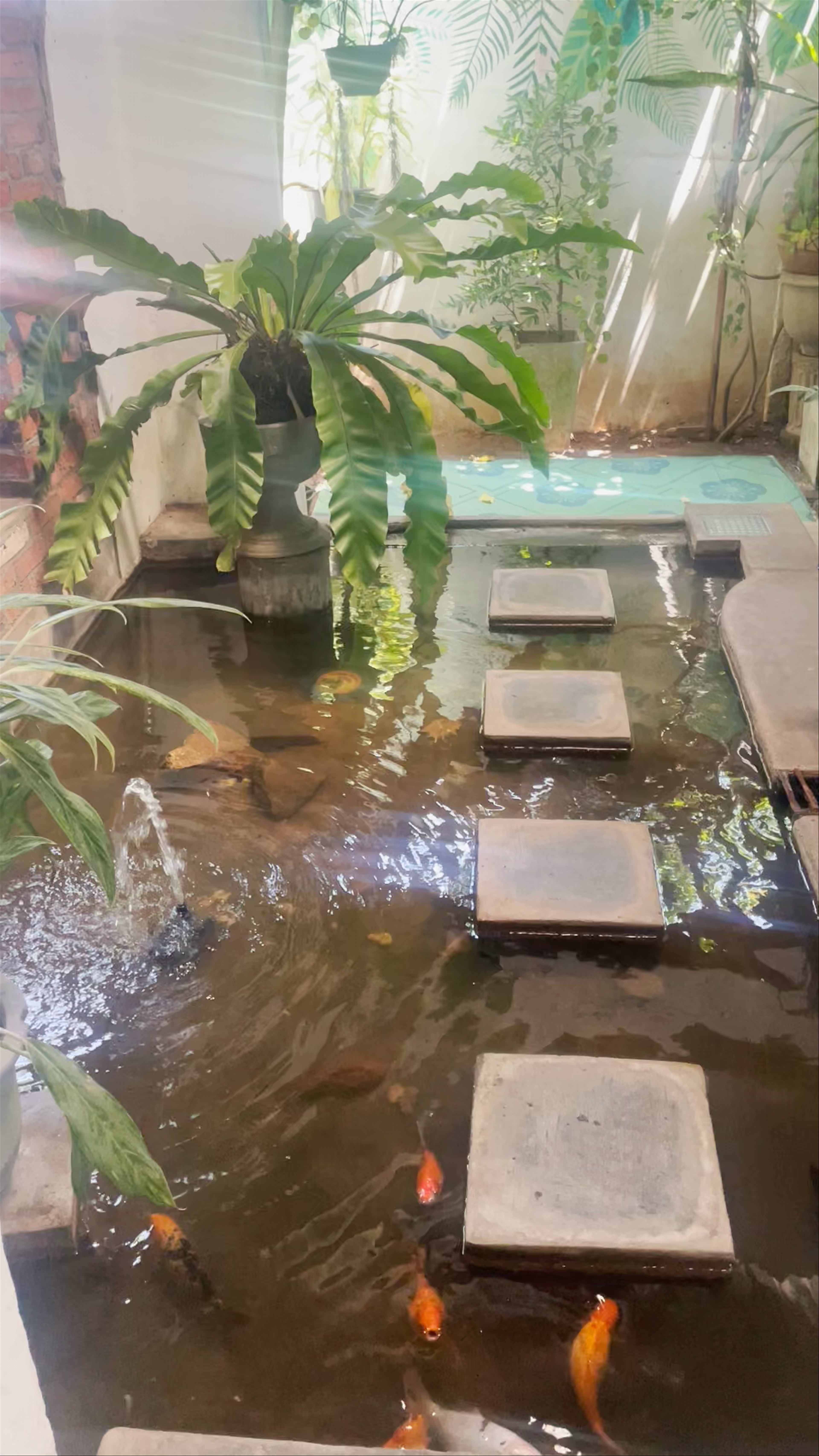 Zen Cafe: A Tranquil Oasis in Negombo, Sri Lanka