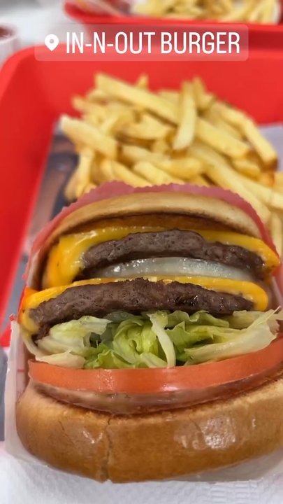In-N-Out Burger - Double double with fries - Fast Food Near Me - Aurora, Colorado