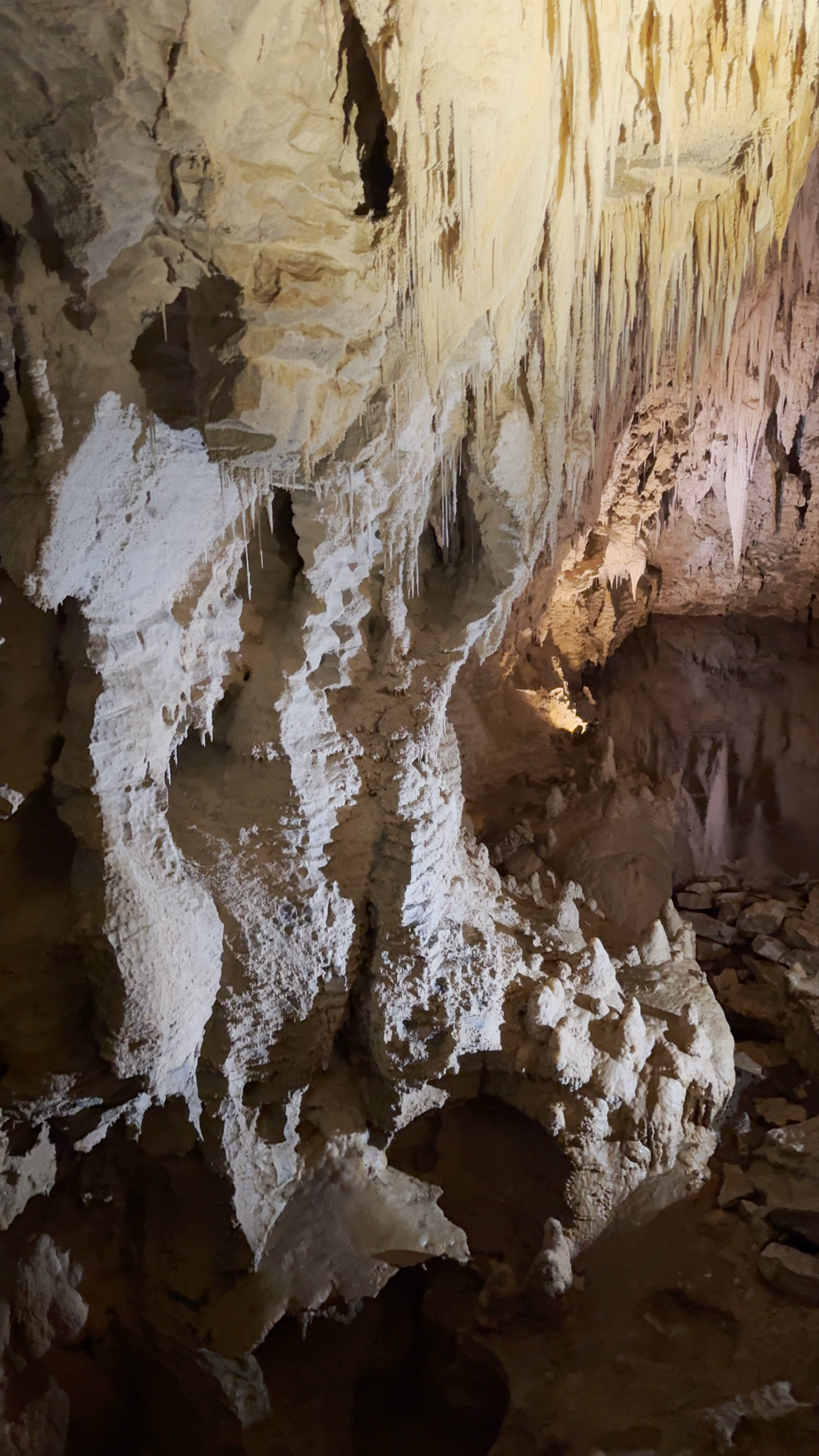 Waitomo Glowworm Caves Waitomo Village Rd