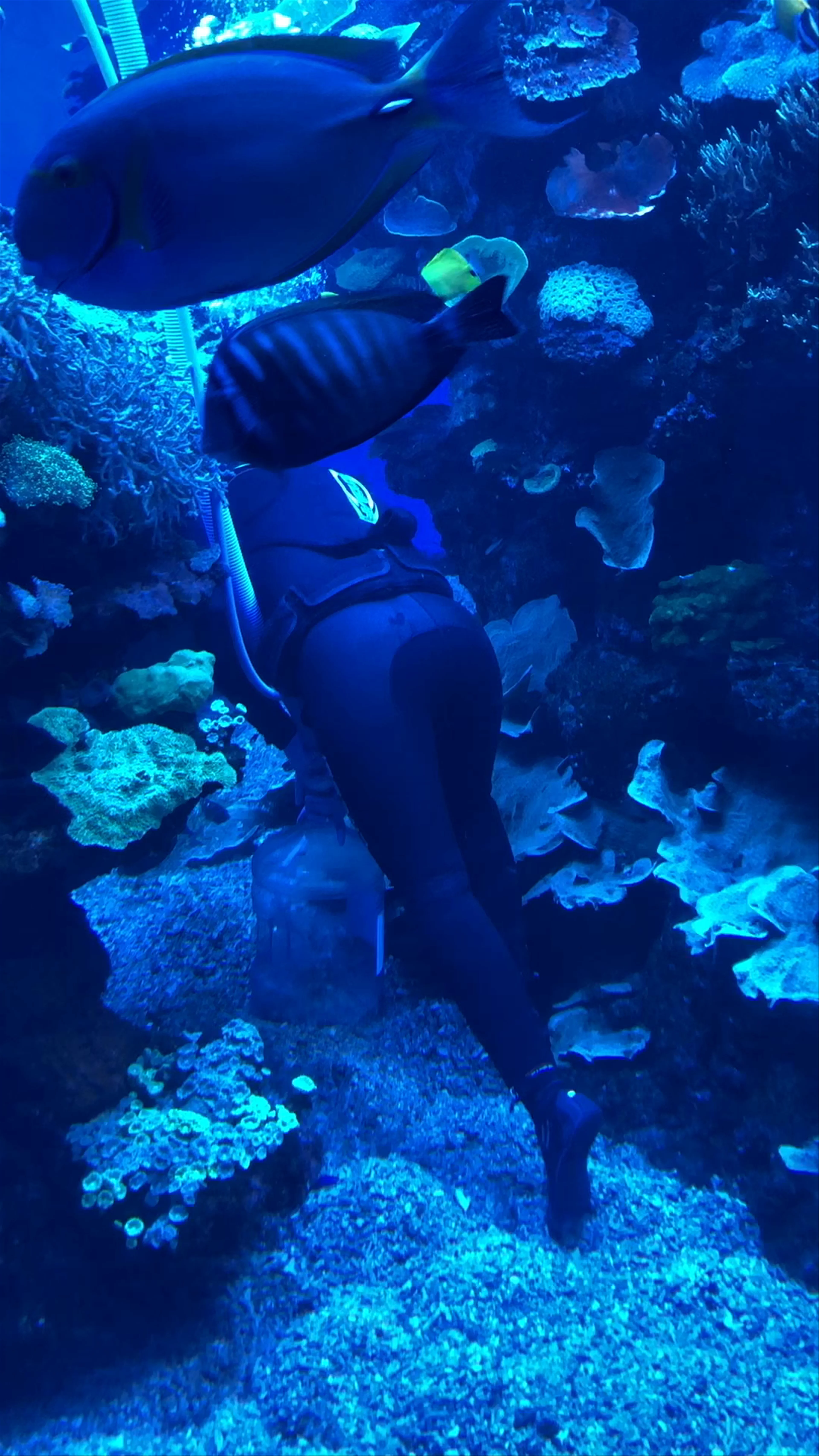 Palma Aquarium