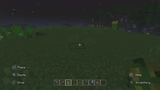 fossils of the ender dragons home - media 300