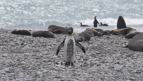 Untitled Work animated gif