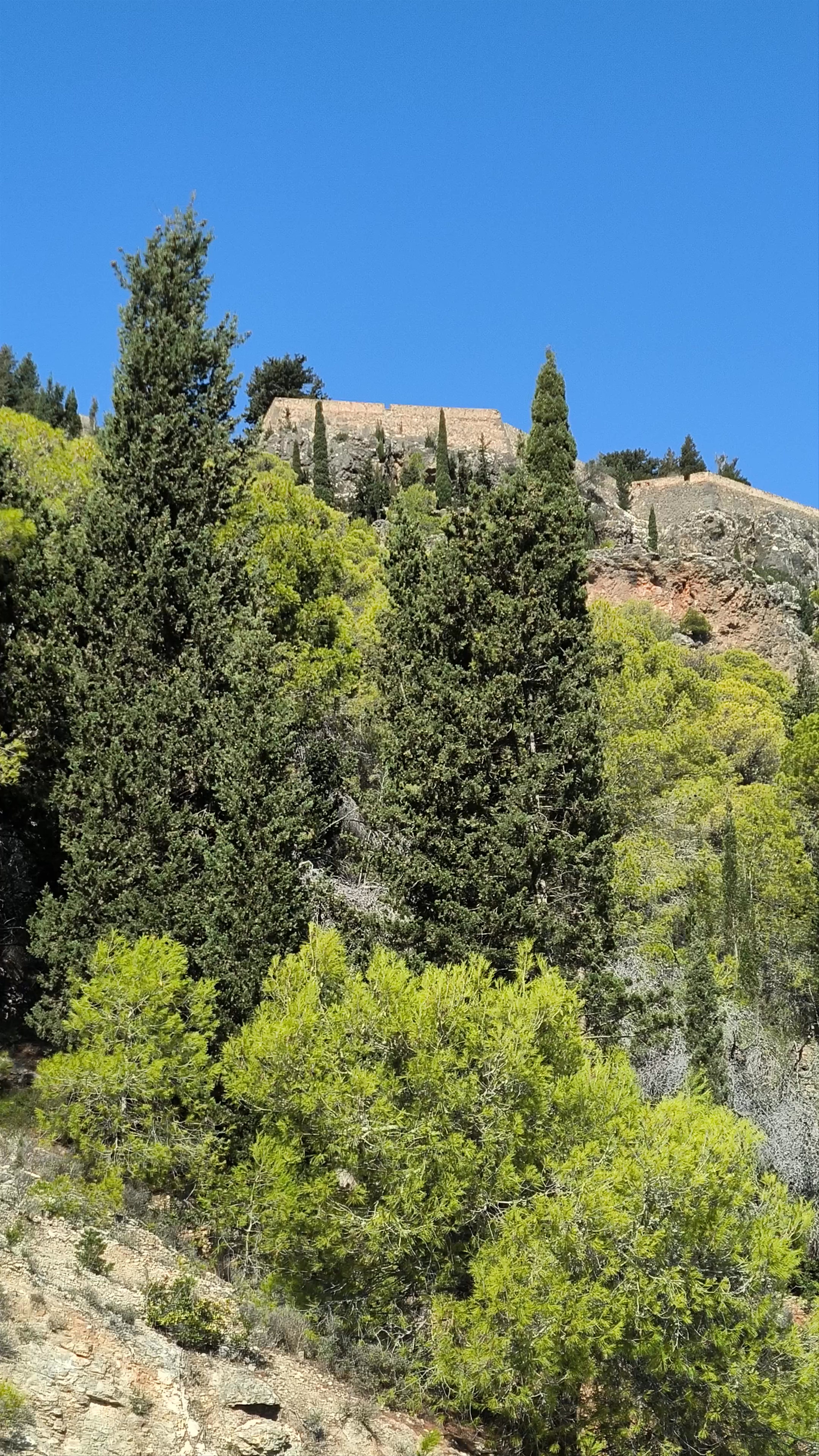 Venetian Castle of Assos