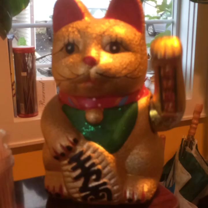 Pandan Room - The cat at the entrance - Thai Near Me - Hackettstown, New Jersey
