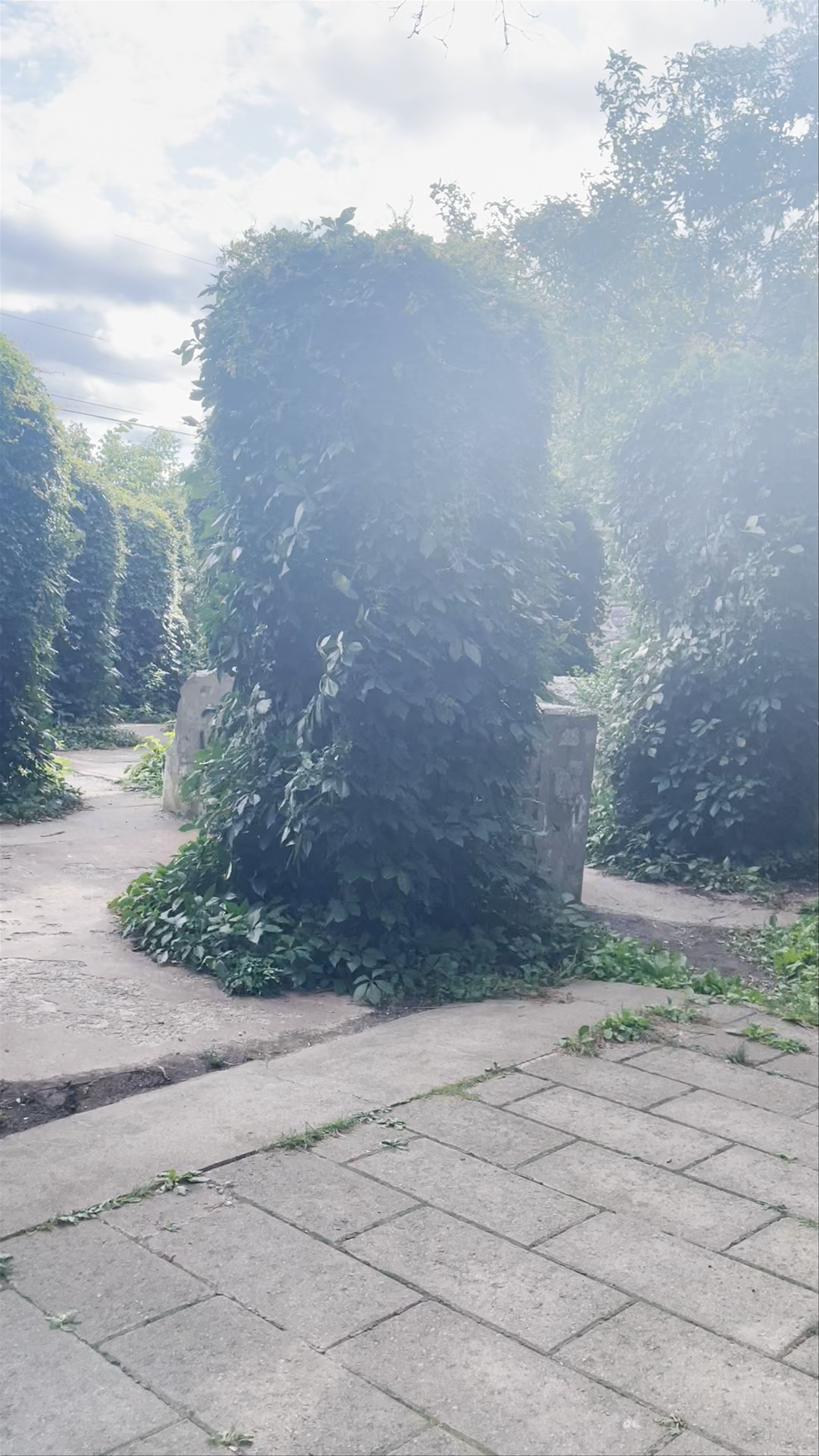 Site des Moulins du Sault au Récollet