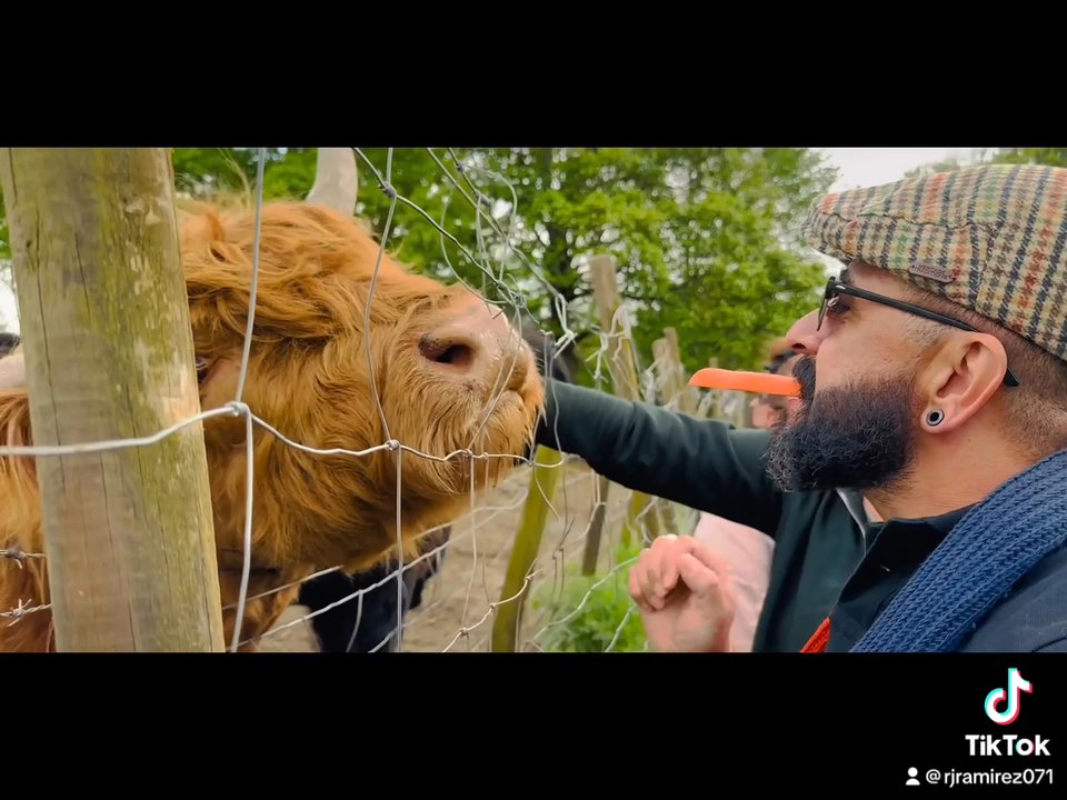 Highland Experience Tours - Little video - Tours Near Me - Edinburgh, EDH