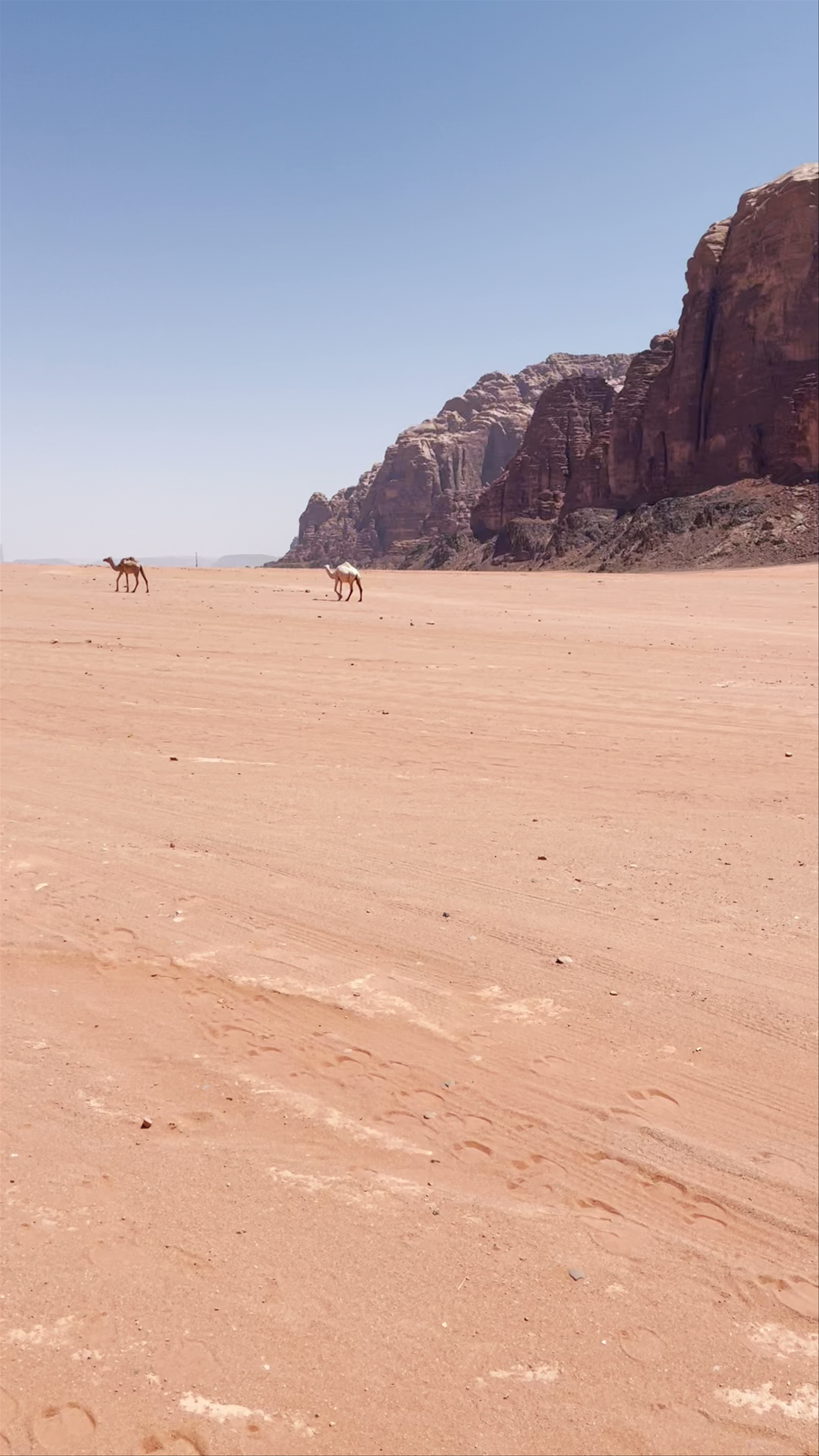 Wadi Rum Protected Area