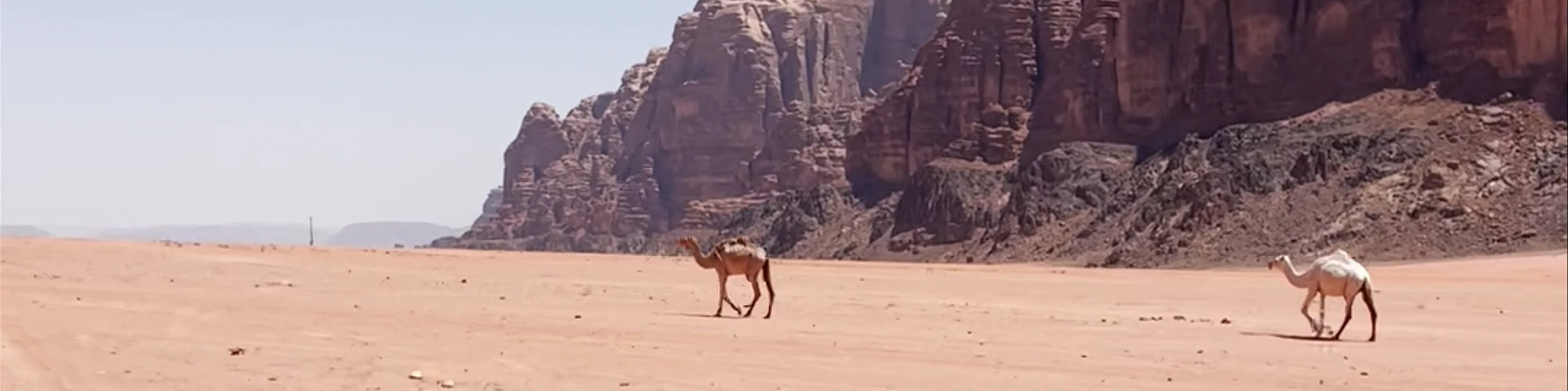 Wadi Rum Protected Area