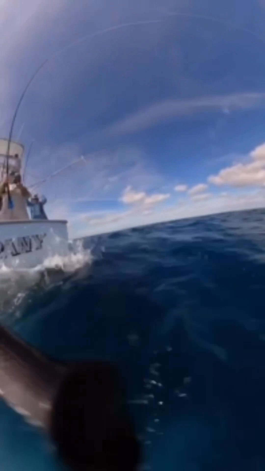 Canyon Runner Pro Staff getting it done down in Mi...