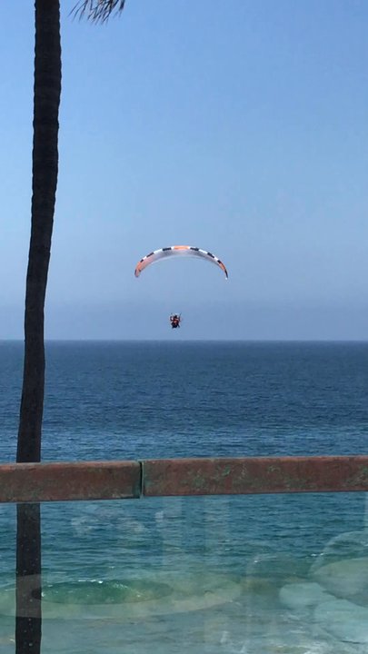 Pacific Perk - Next day with clear skies and treat watching these guys. - Coffee & Tea Near Me - Laguna Beach, California