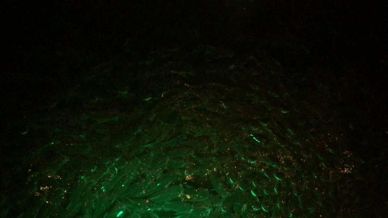 Video thumbnail 6 more videos
