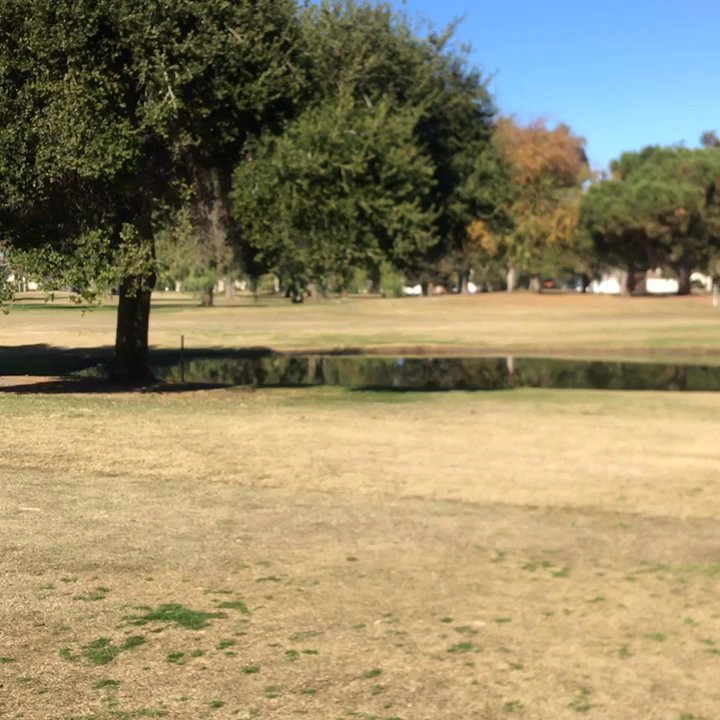 Manteca Park Golf Course - Just another golf day! - Golf Near Me - Manteca, California