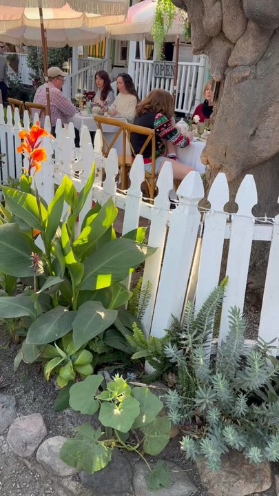 THE TEA HOUSE ON LOS RIOS - Updated March 2025 - 3418 Photos & 1199 ...