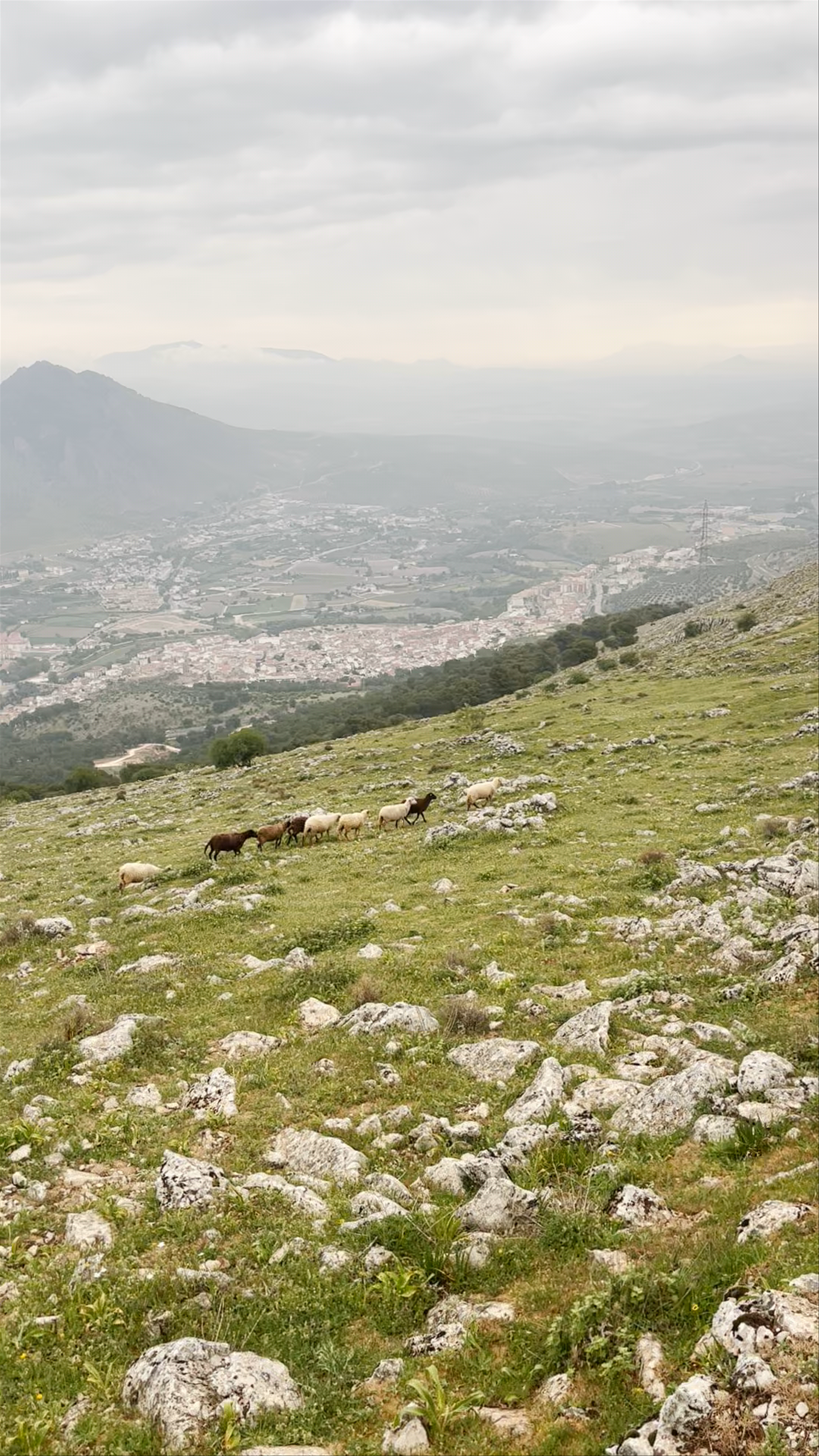 Sierra de Loja