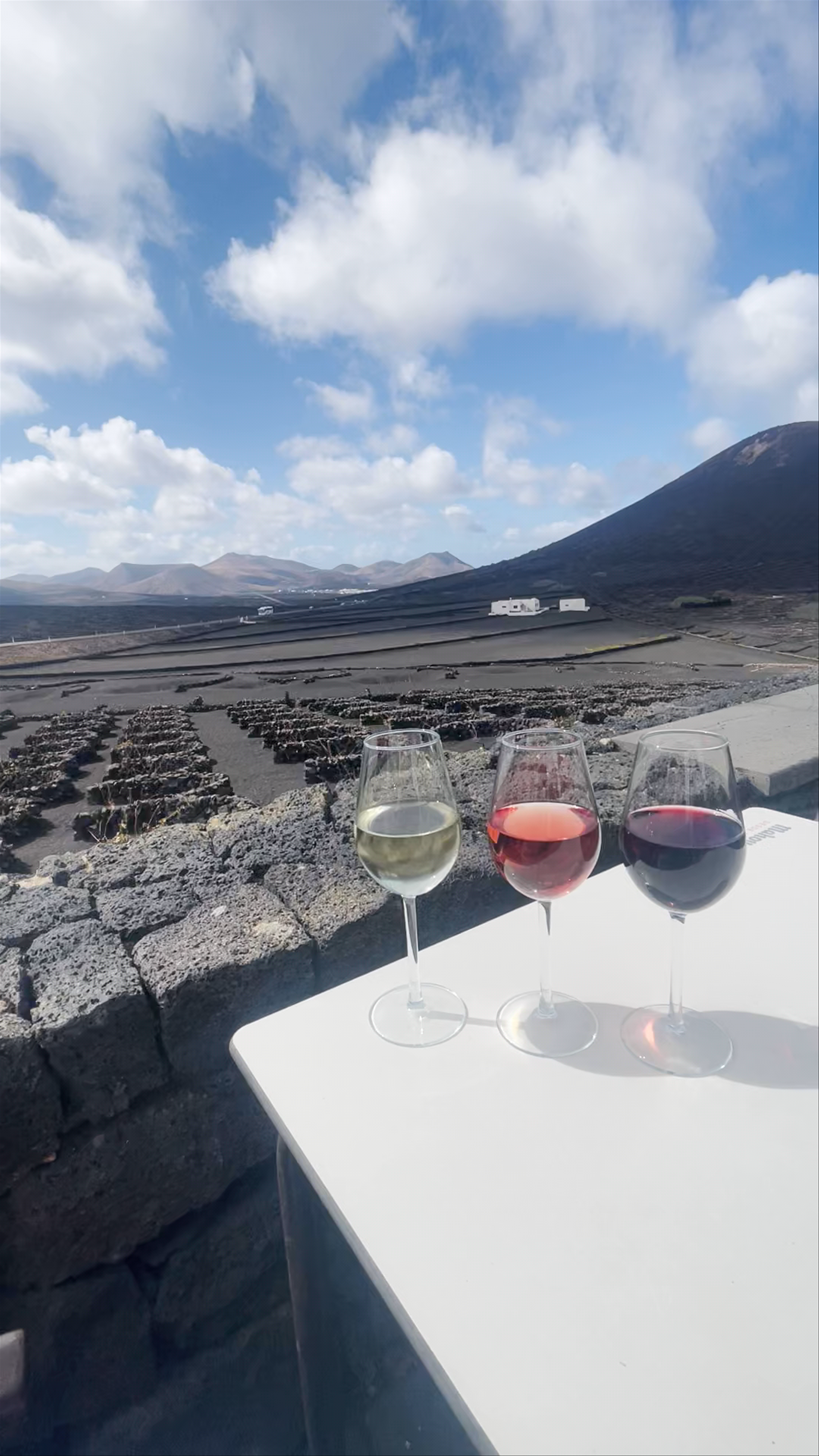 Wine Tasting at Bodega La Geria in La Geria, Canary Islands