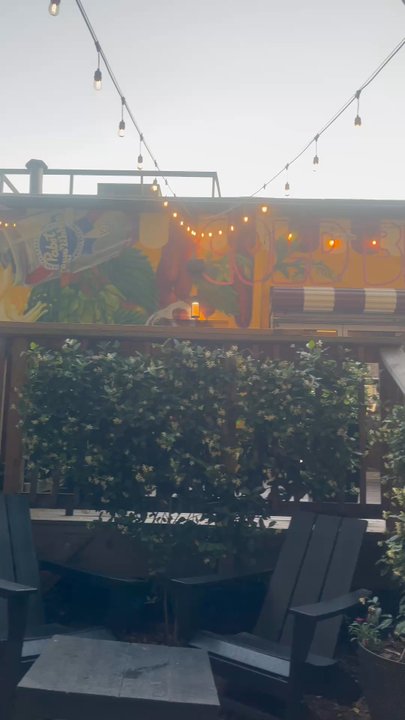 Red's Beer Garden - Outdoor seating area - Hot Dogs Near Me - Atlanta, Georgia