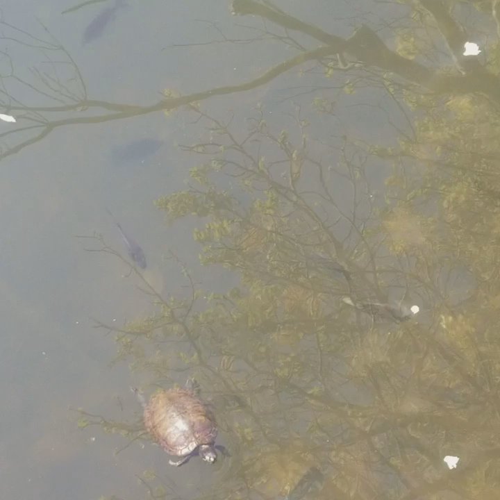 Sandy Bottom Nature Park - Parks Near Me - Hampton, Virginia