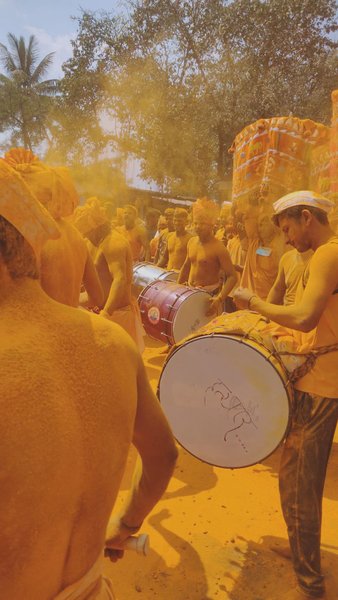 Photo of Yellow josh from the