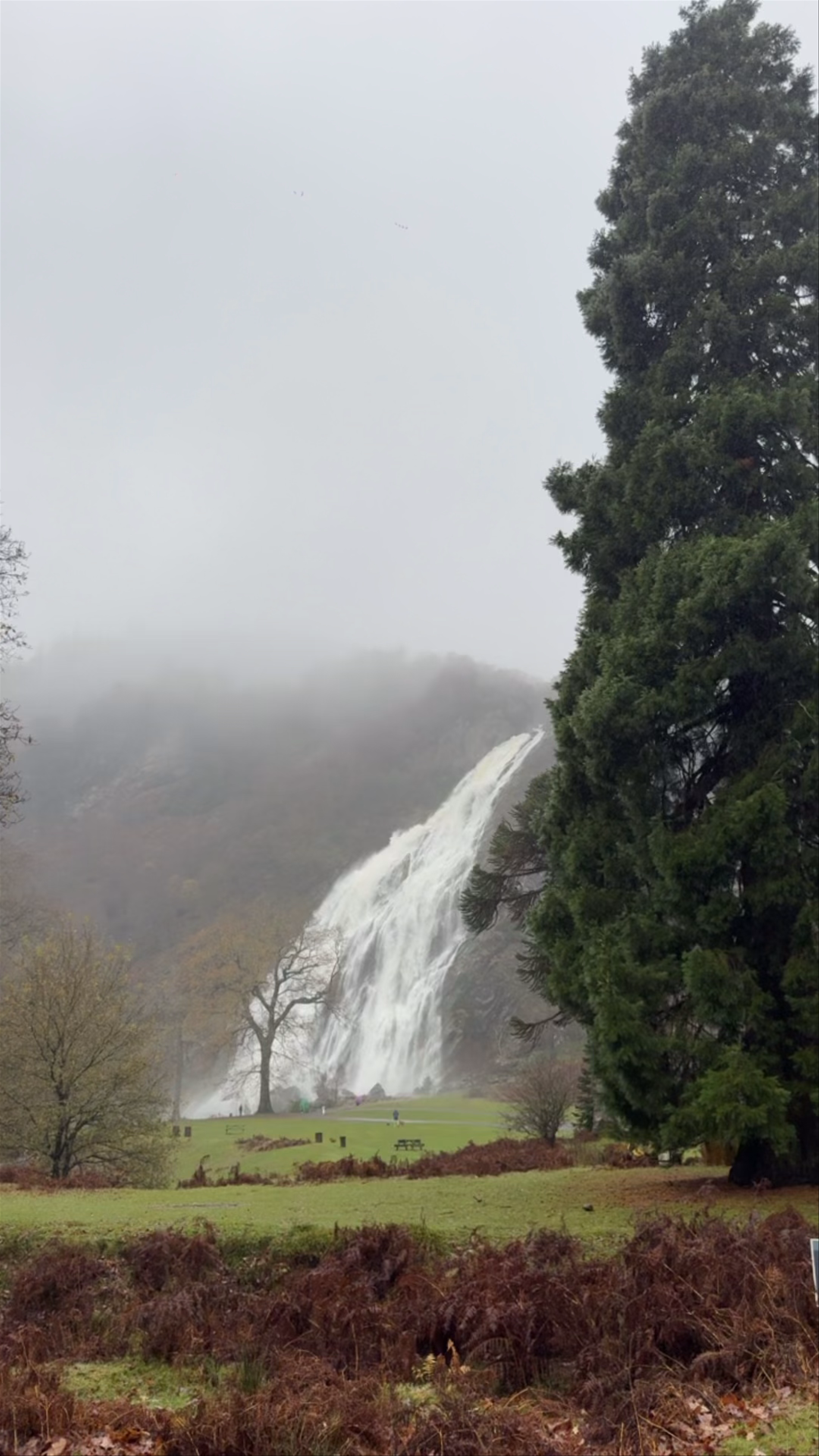 Powerscourt Waterfall