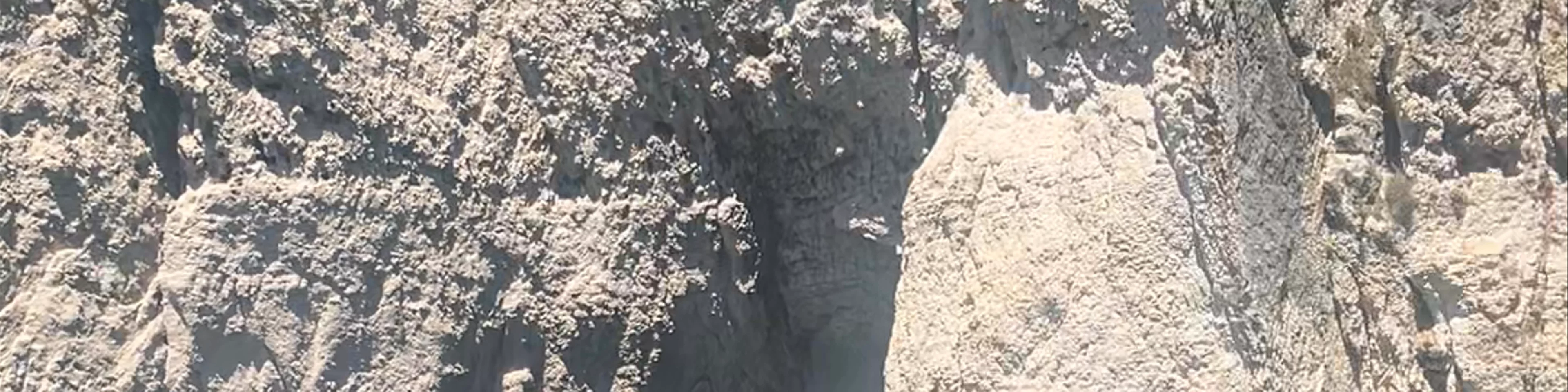 Ypapanti's Cave