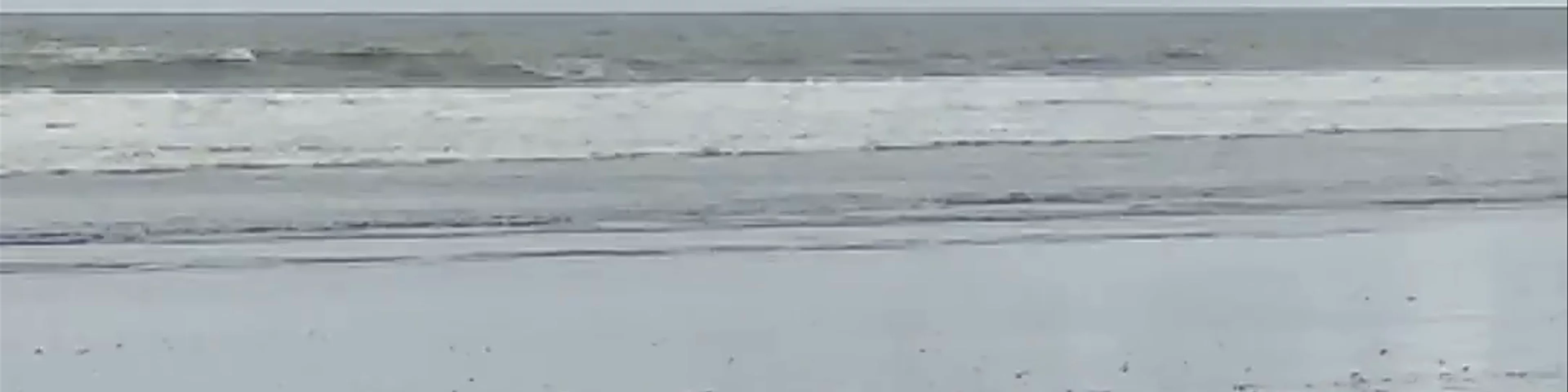 Playa El Almejal