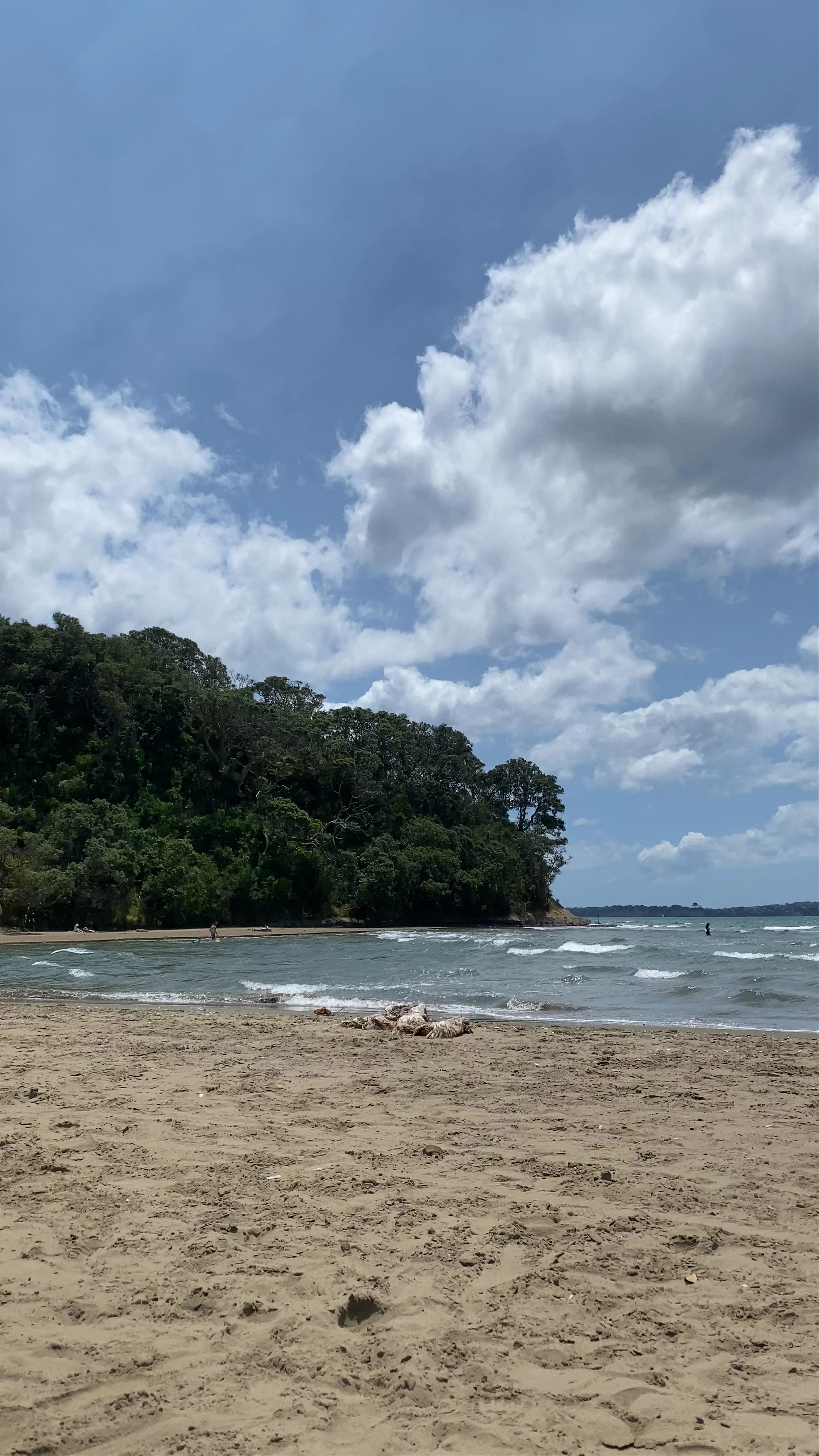 Long Bay Regional Park Beach